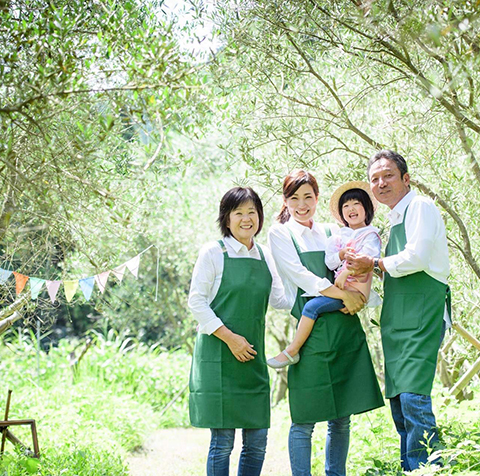 福田さん家のオリーブ園。
