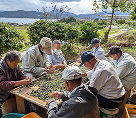 育てる会の圃場